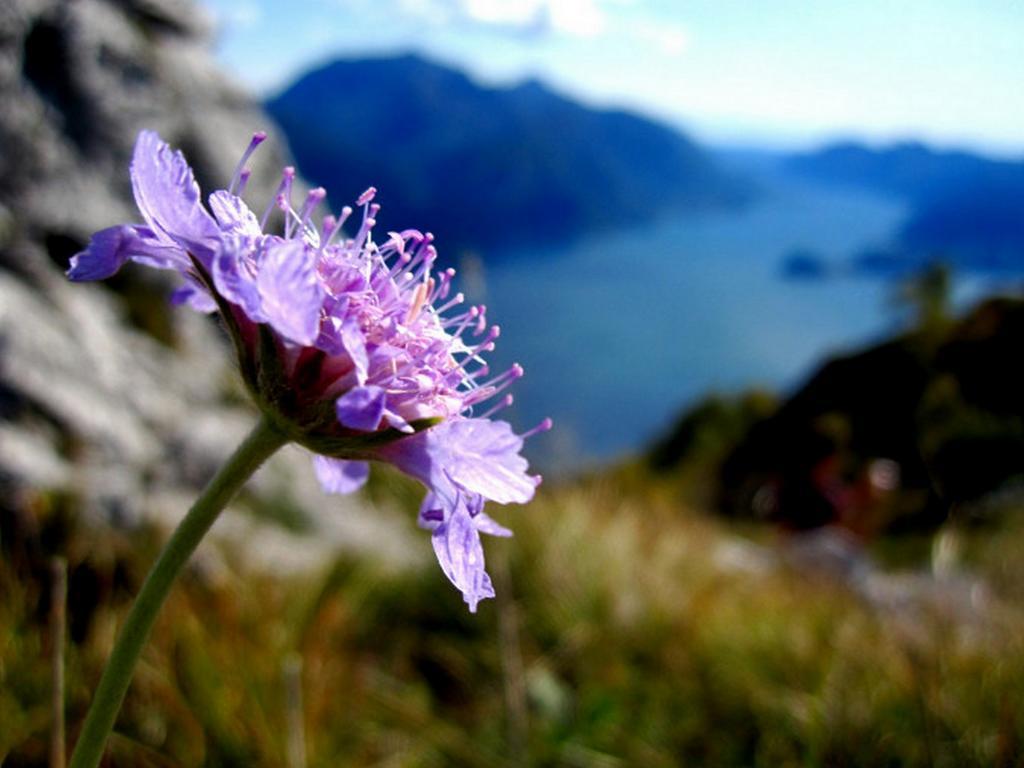 Menaggio Fronte Lago Экстерьер фото
